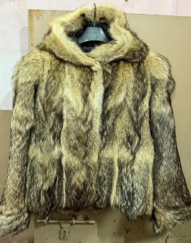 Edle vintage schakal - vintage,
