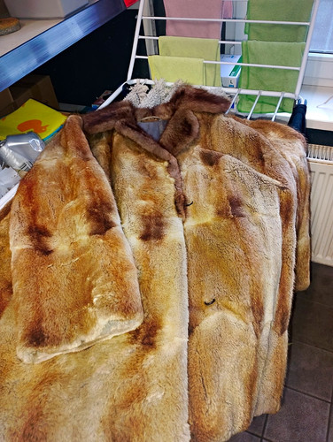 Geschorener pelz aus biesam - pelz,